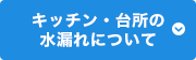 キッチン・台所の水漏れについて
