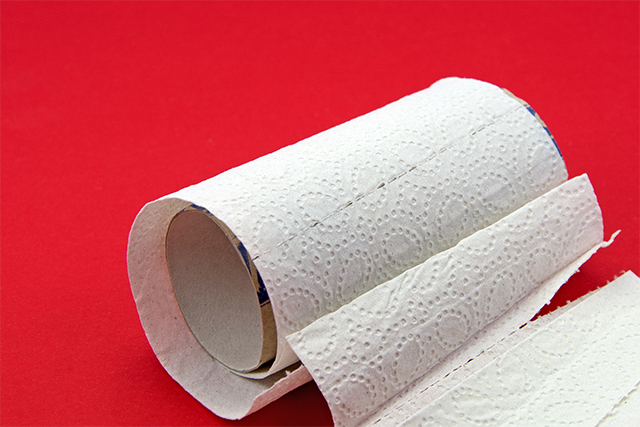 なぜトイレットペーパーでトイレが詰まるのか