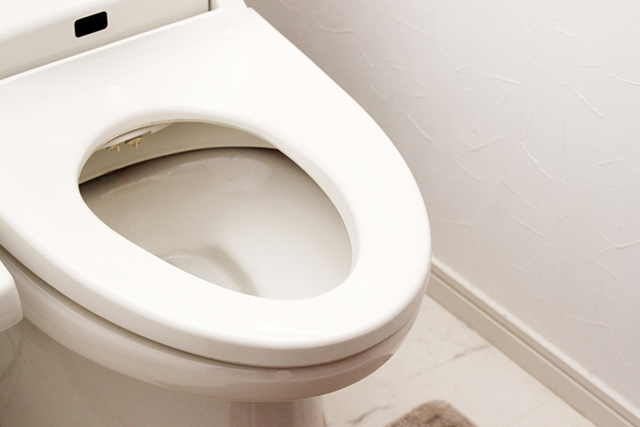 トイレが詰まる時ってどんな時？